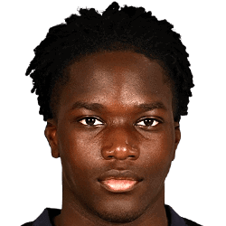 J. Ndiaye